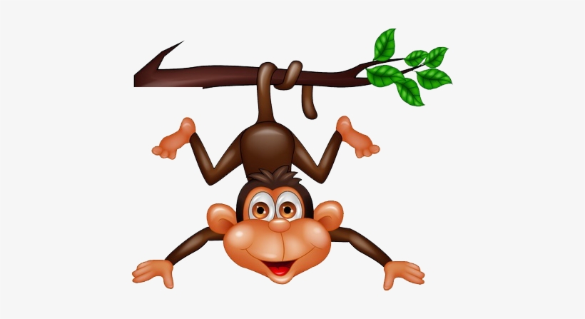 Contact Us - 100 Of The Most Playful Animals, transparent png download