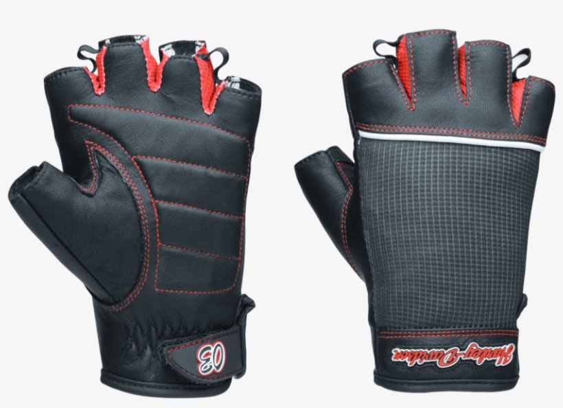 Harley Davidson Womens Cora Leather & Mesh Fingerless - Harley-davidson Cora Leather & Mesh Fingerless, transparent png download