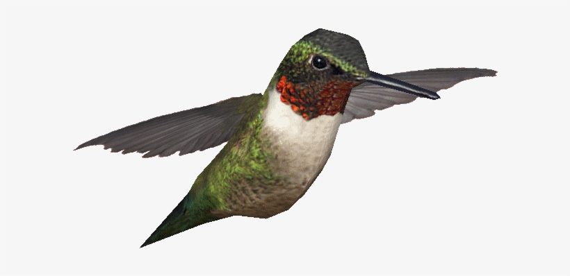 Ruby-throated Hummingbird, transparent png download