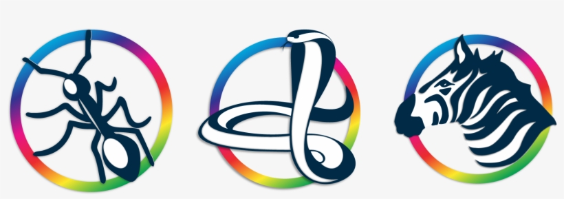 Colorlogic, Gmbh, transparent png download