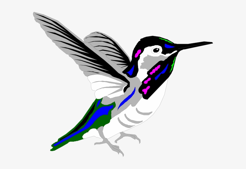 Multicolored Hummingbird Svg Clip Arts 600 X 483 Px, transparent png download