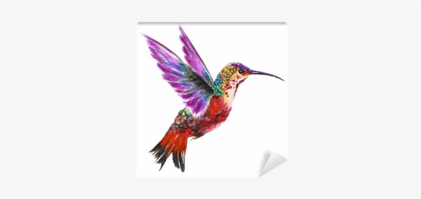 Isolated Watercolor Hummingbird On White Background - Obraz Koliber 3 24 X 30 Cm, transparent png download
