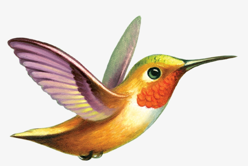 Tattly, transparent png download