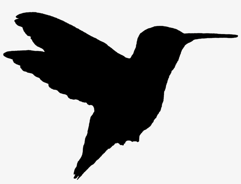 Ruby Throated Hummingbird - Ruby Throated Hummingbird Silhouette, transparent png download