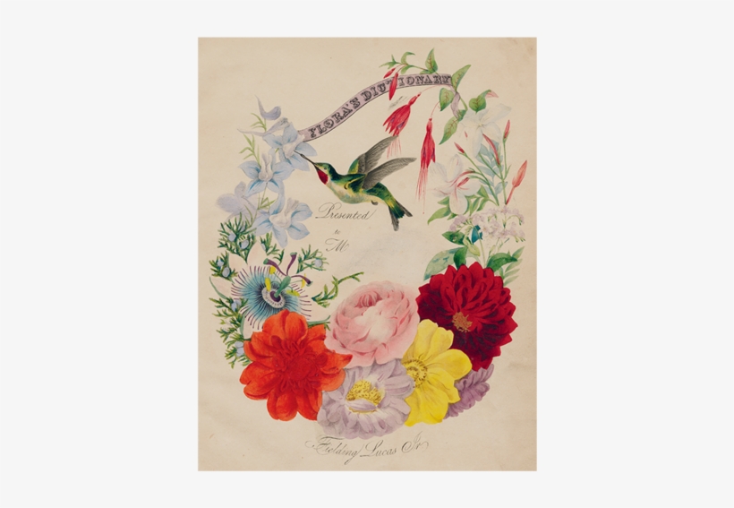 Flora's Dictionary (p - Giclee Painting: Wirt's Presentation Page, Flower Garland, transparent png download