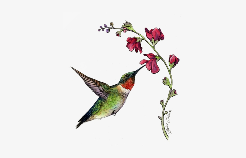 Fine Art- Nature - Watercolor Painting, transparent png download