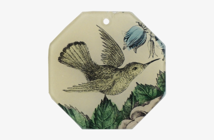 Sepia Hummingbird - Painted Bunting, transparent png download