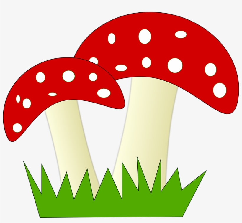 Free Download Amanita Muscaria Mushroom Fungus Morchella - Clipart Of Mushrooms, transparent png download