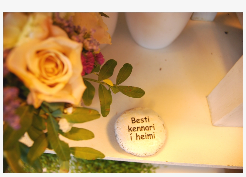 Organic Gardening - Garden Roses, transparent png download