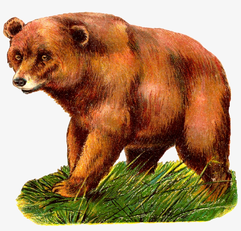 Digital Grizzly Bear Clipart Download - Grizzly Bear Clipart, transparent png download