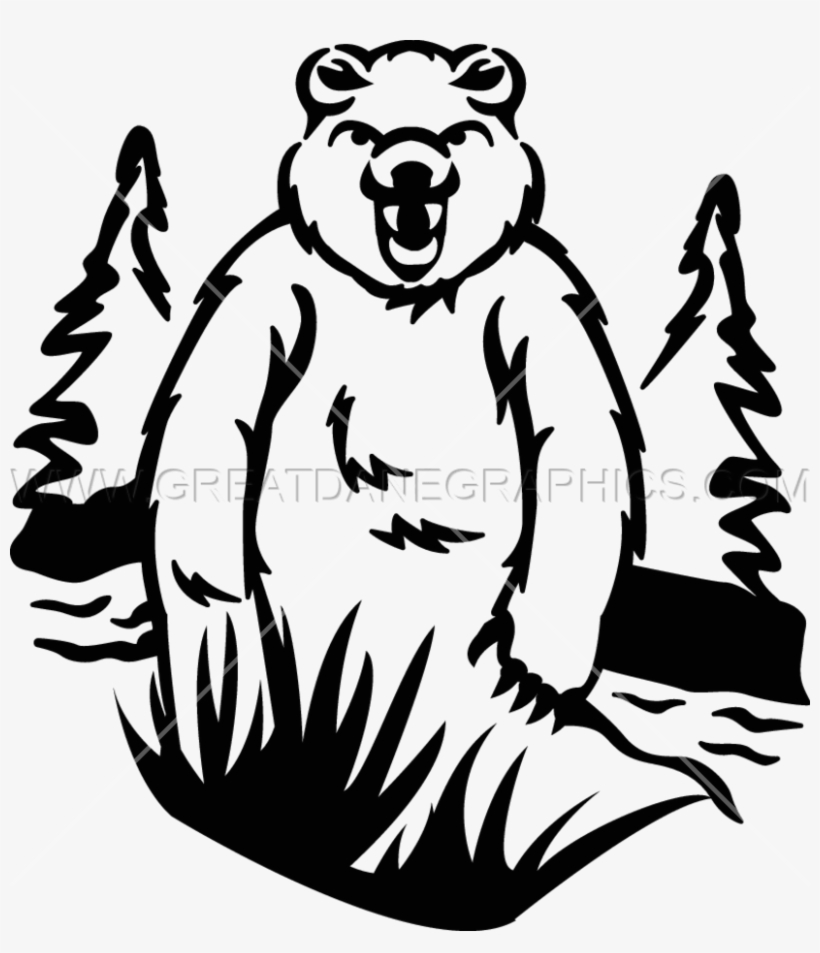 Wildlife Bear, transparent png download