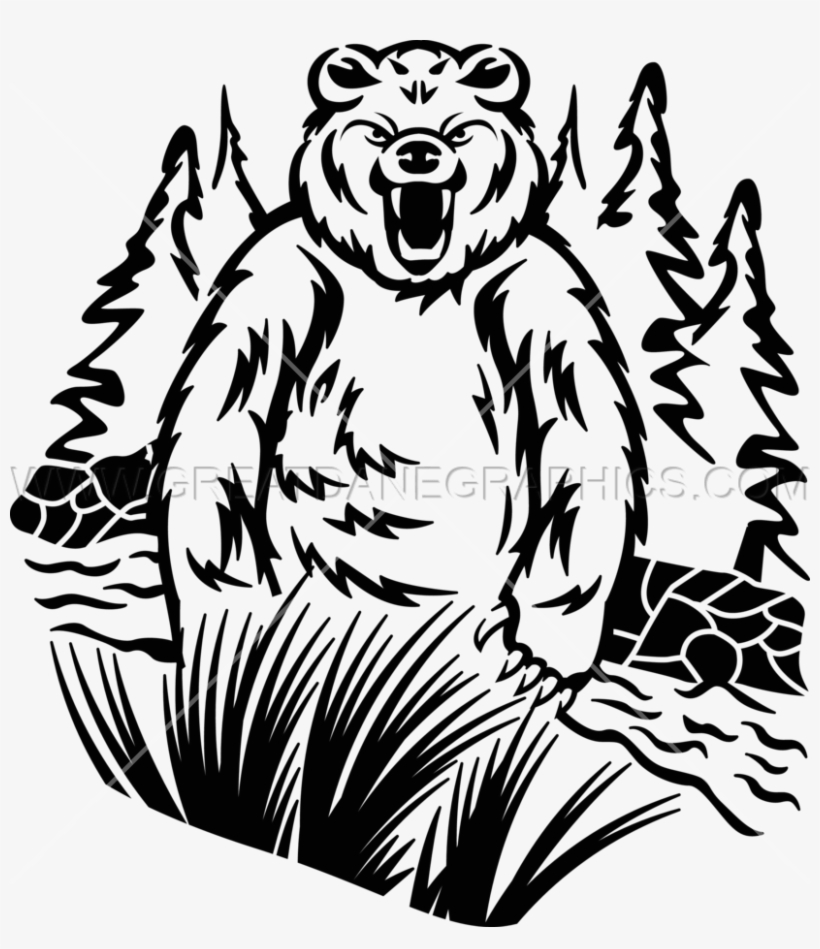 Wildlife Bear - Illustration, transparent png download