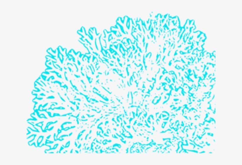 Coral Reef Clipart Blue - Beach Rules 2 Poster, transparent png download