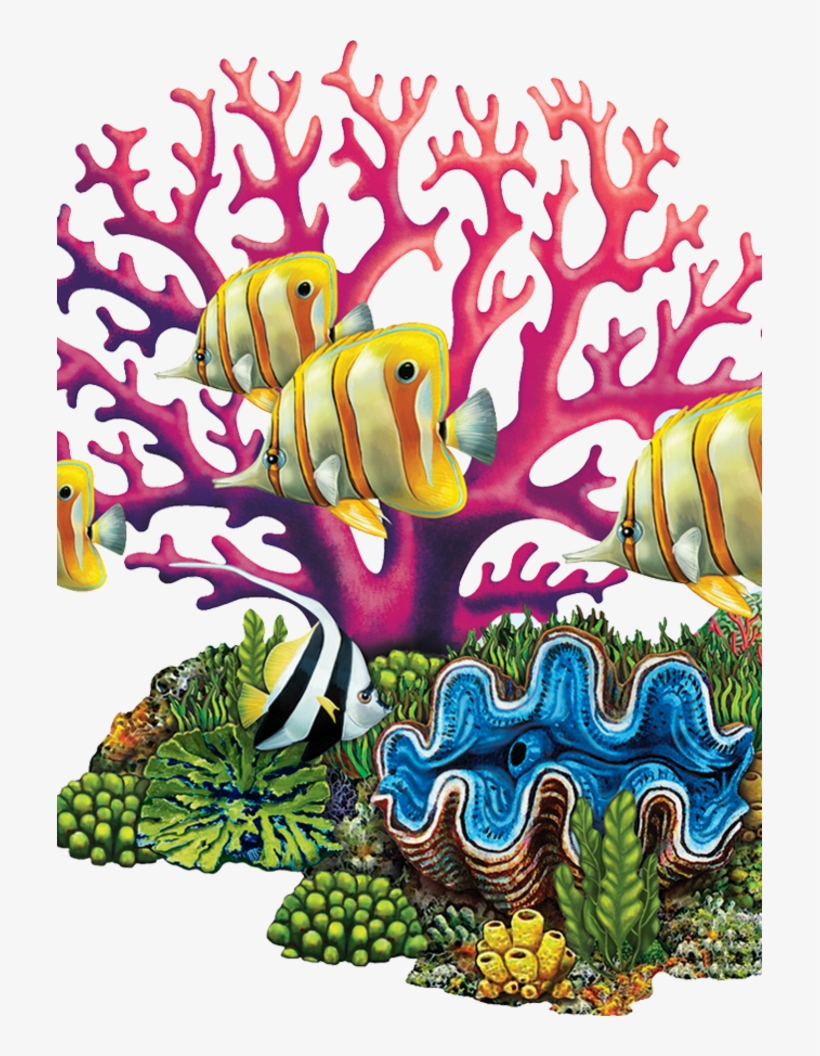 Coral, transparent png download
