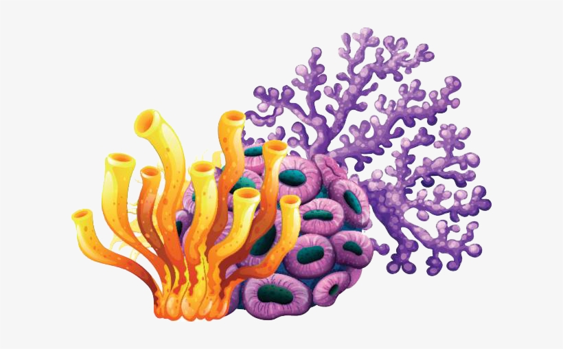 Blog De Una Lectora Apasionada Book Tag N17611 Animales - Coral Reef Clip Art, transparent png download