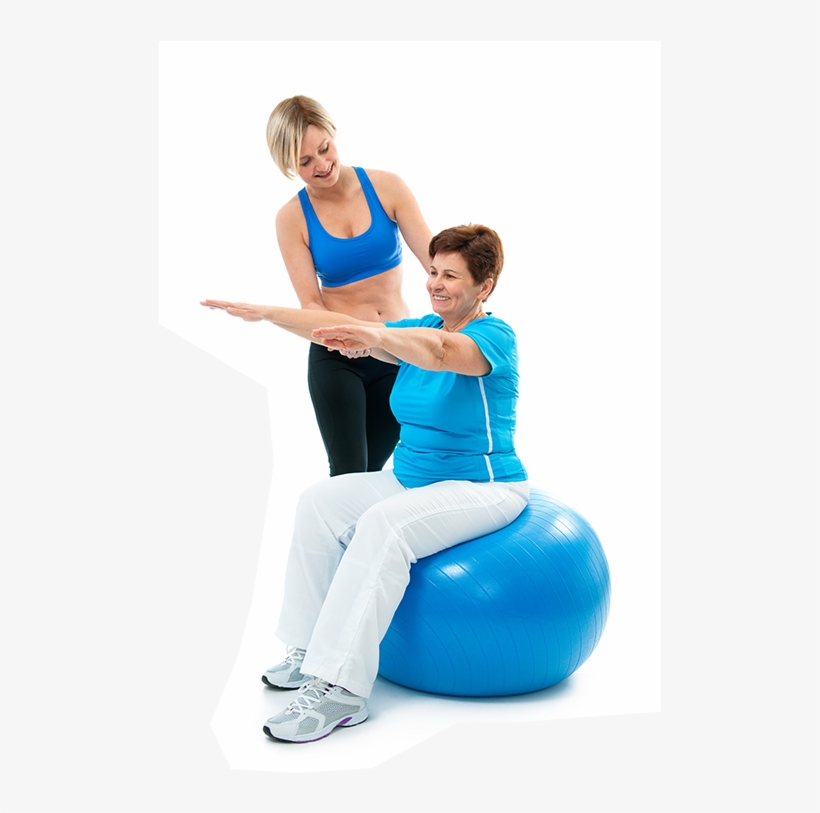 The Fyzical Difference - Ultimate Guide To Training Overweight And Obese Clients, transparent png download