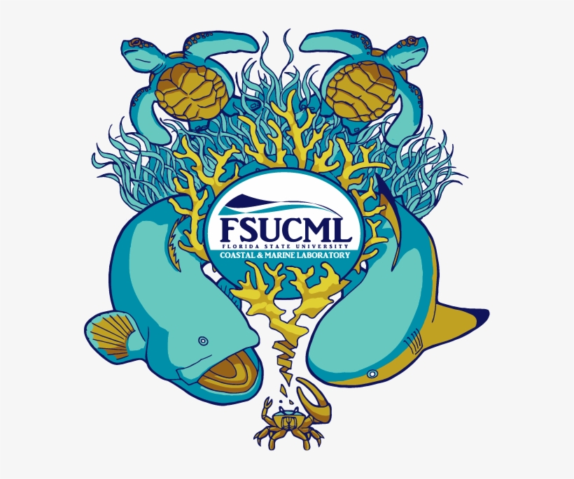Florida State University Coastal And Marine Laboratory, transparent png download