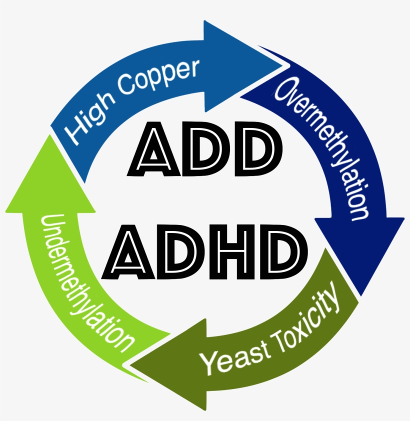 Health Care - Mike Penny & His Moonshiners: Rock Me Daddy-o Cd, transparent png download