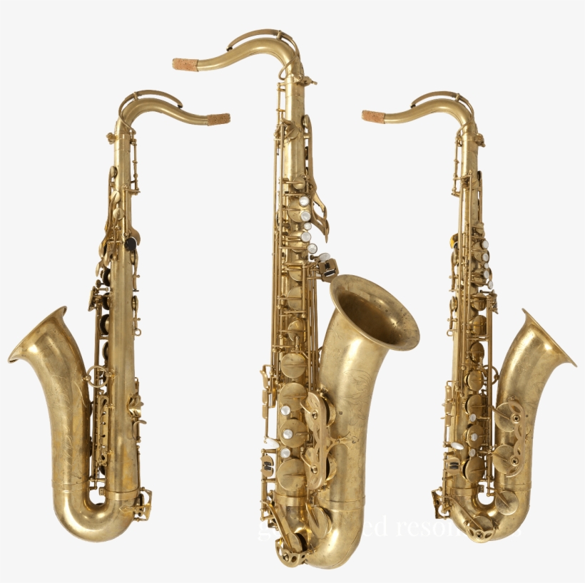 The Remy Saxophones Are The End Result Of Saxophonists - Saxophone, transparent png download