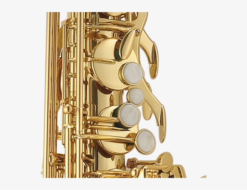 Easy To Play And With Just The Right Amount Of Resistance, - Musical Ensemble, transparent png download