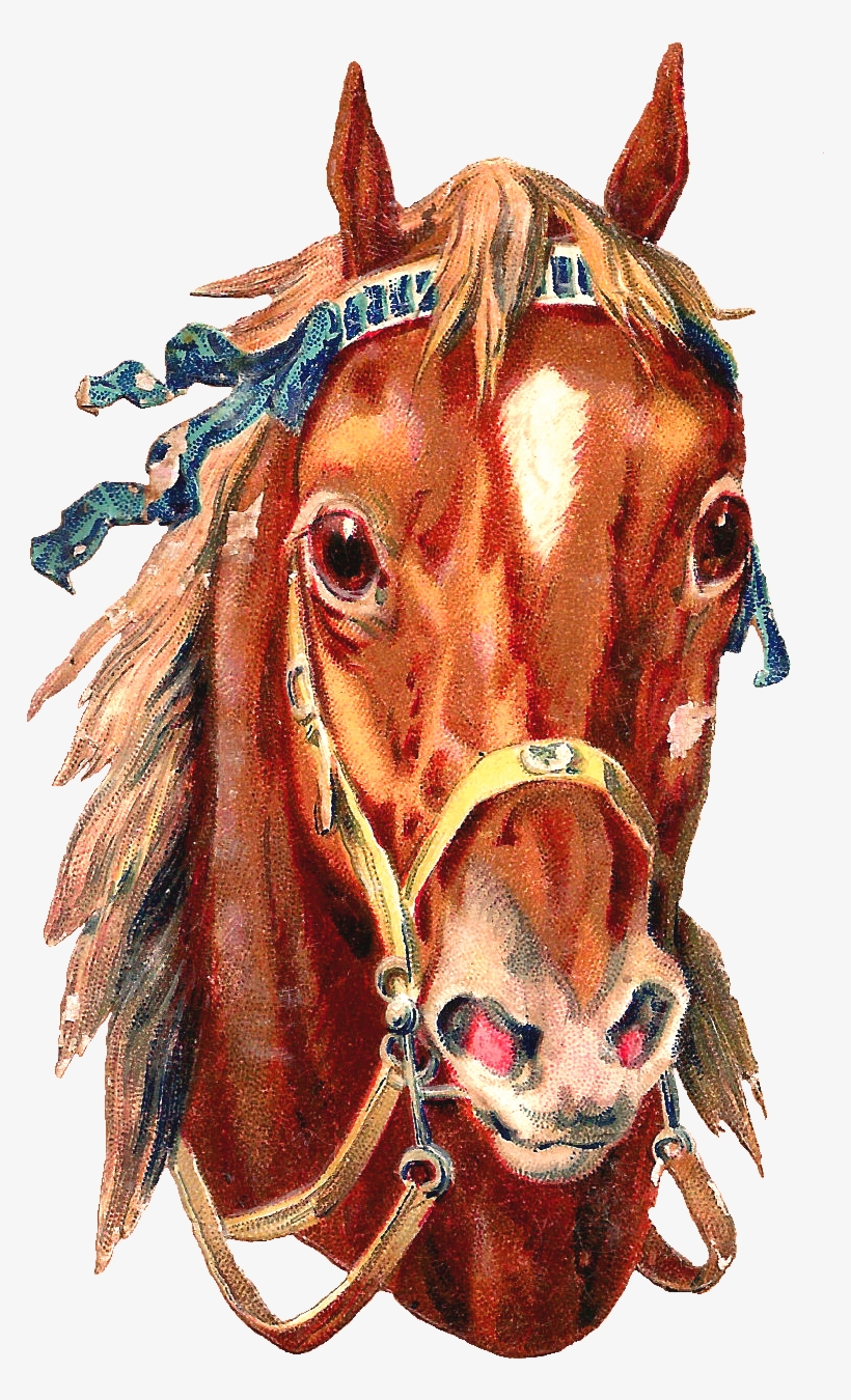 What Beautiful Horses These Are Two Magnificent Pieces - Free Horse Graphics Png, transparent png download