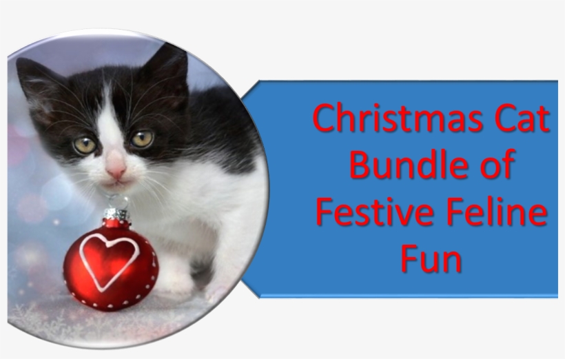 Christmas Kitten, transparent png download