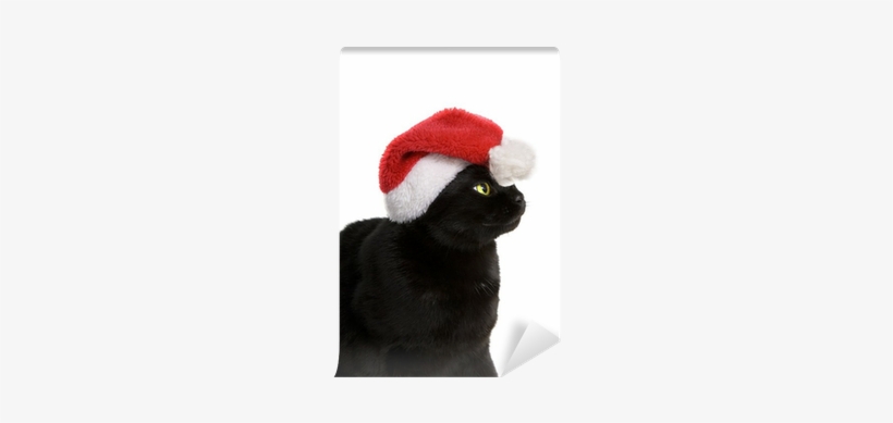 Black Cat Santa - Black Cat, transparent png download