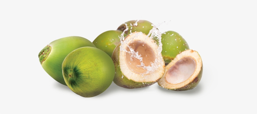 Buy Now - Green Coconut Images Png, transparent png download