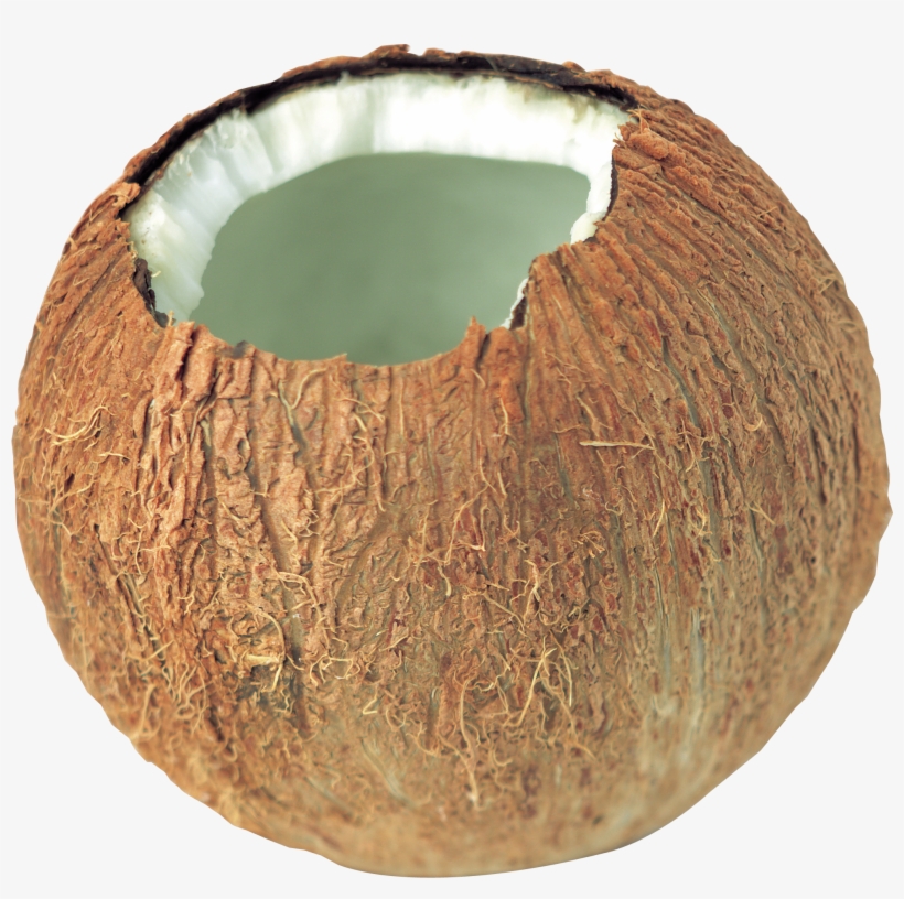 Coconut Speaker Png, transparent png download