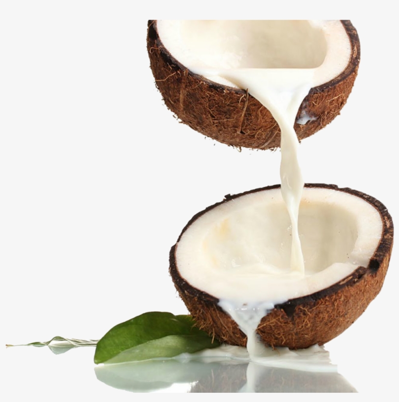 Z Natural Foods Coconut Milk Powder 5 Lbs PNG Image Transparent PNG