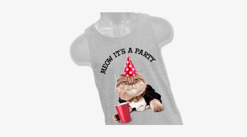 Party Cat - Tabby Cat, transparent png download