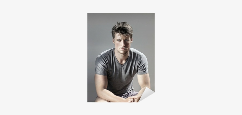 Bully Sky Corgan, transparent png download