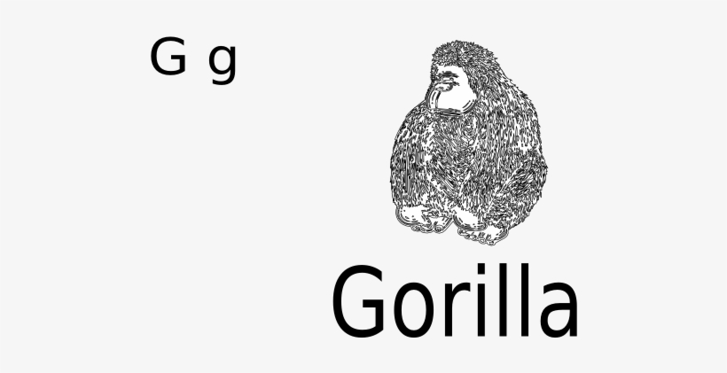 G For Gorilla Black White Line Art 555px - Clip Art, transparent png download