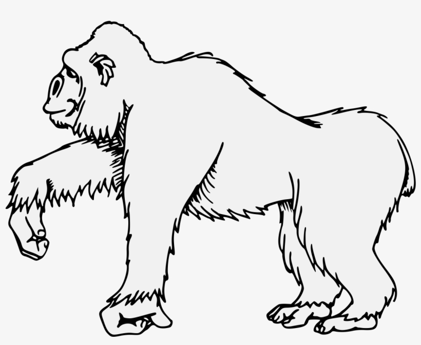 Gorilla Clipart Traceable - Art, transparent png download