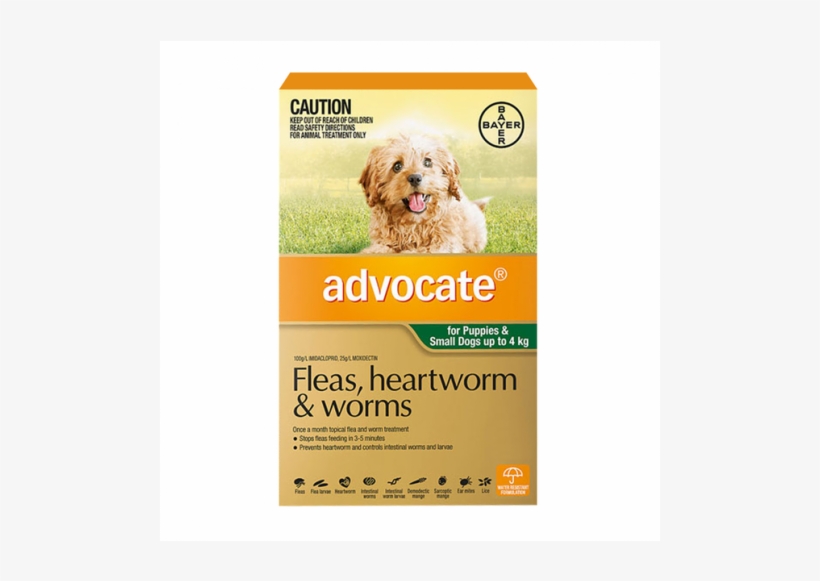Advocate Small Dog Green-3pk - Advocate Dog, transparent png download