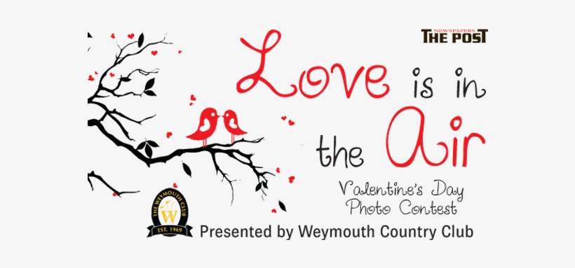 Photo Valentinesday Branding Fina Zpsceicajgp - Valentine's Day, transparent png download