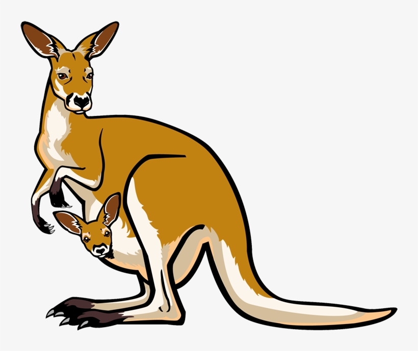 Clip Art Zoo Animals - Kangaroo Clipart, transparent png download