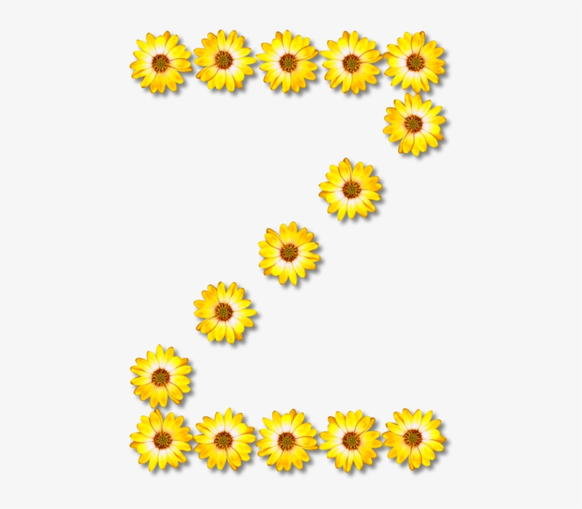 All Photo Png Clipart - Flower Z, transparent png download