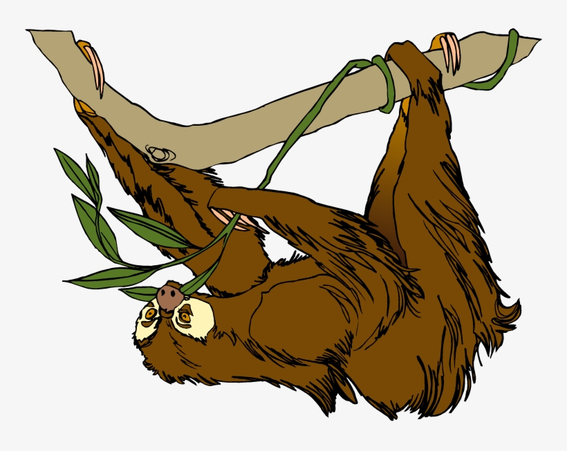 Free Sloth Clipart - Sloth On Tree Clipart, transparent png download