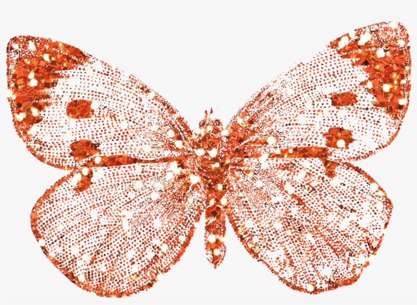 Index Of - Orange Butterfly With Glitter, transparent png download