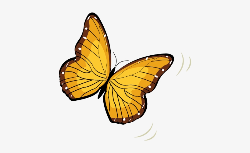 Butterfly - Cafepress Butterfly And Daisy Full/queen Duvet Cover, transparent png download