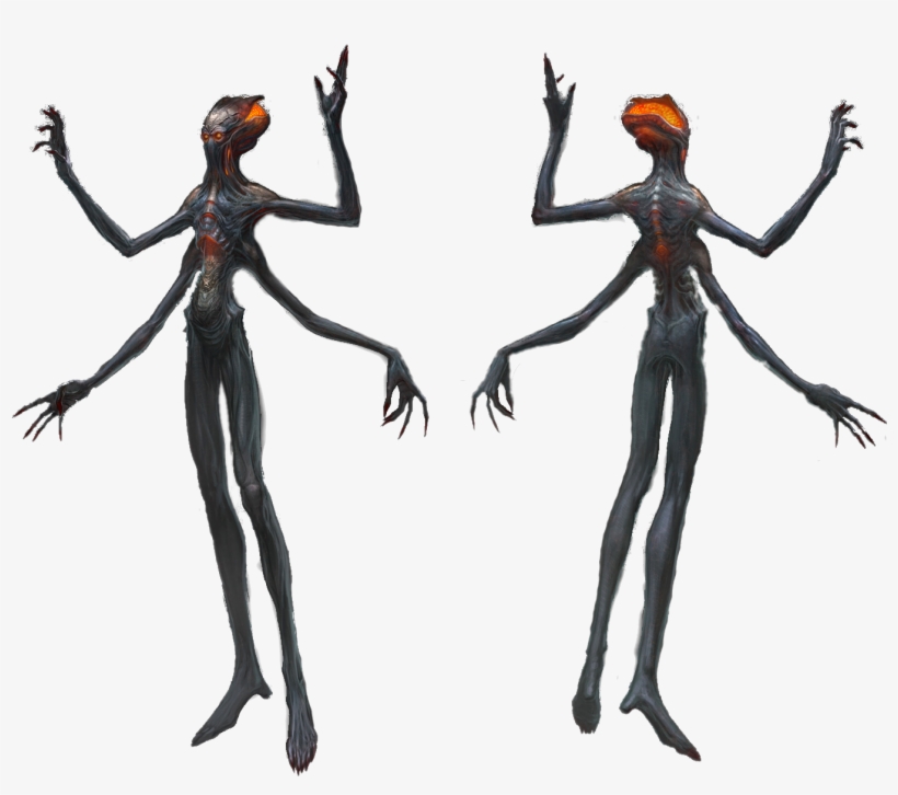 Ethereal Anatomy - Illustration, transparent png download