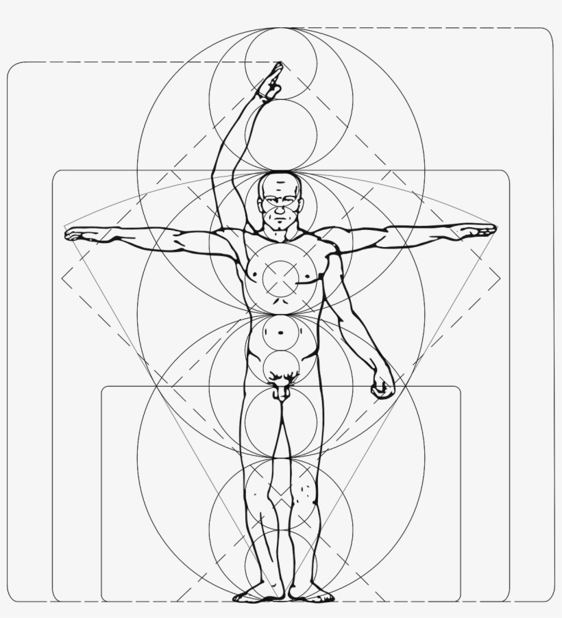 Vitruvian Man Animated Gif, transparent png download