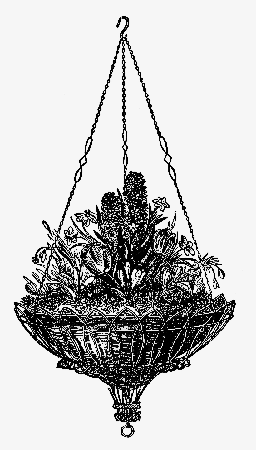 Digital Hanging Flower Basket Downloads - Basket Plant, transparent png download