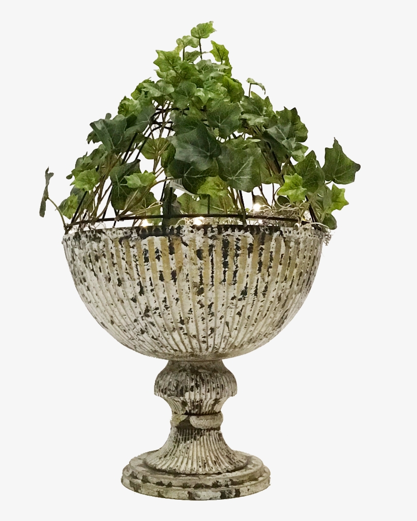 After I Attached The Ivy With Floral Wire, I Took A - Flowerpot, transparent png download