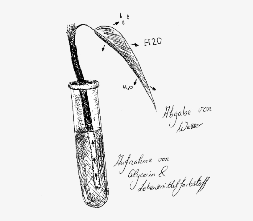 Veranschaulichung Des Konservierungsprozesses - Product, transparent png download