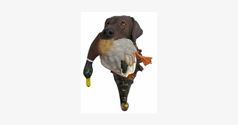 Nature's Window Chocolate Lab With Mallard Decorative, transparent png download