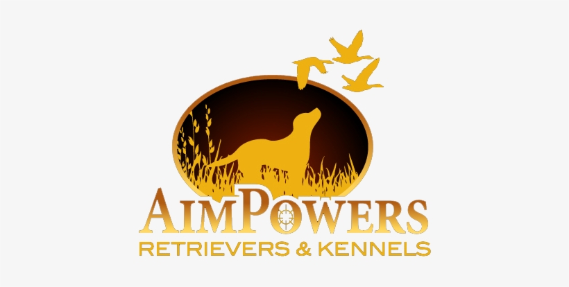 Aim Powers Retrievers - South Carolina, transparent png download