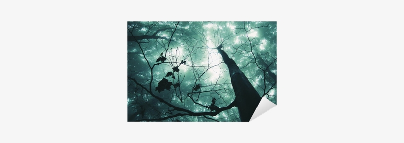 Tree In A Magical Forest With Green Fog Sticker • Pixers® - Beauty Magic Picture Nature, transparent png download