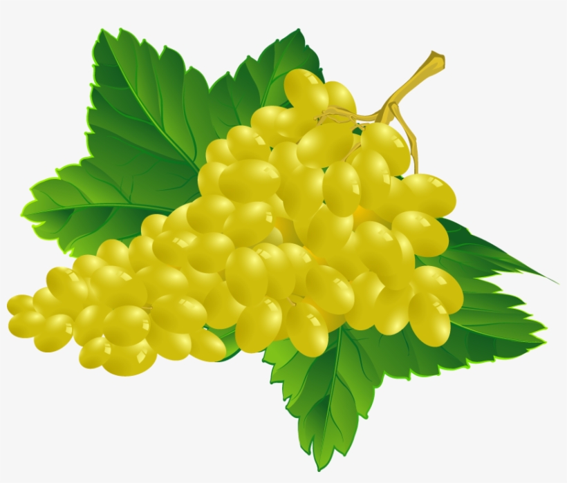Grapes Fruits Png Transparent Images Clipart Icons - Grape Vector, transparent png download
